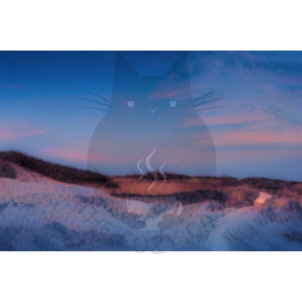 test product - Image 12