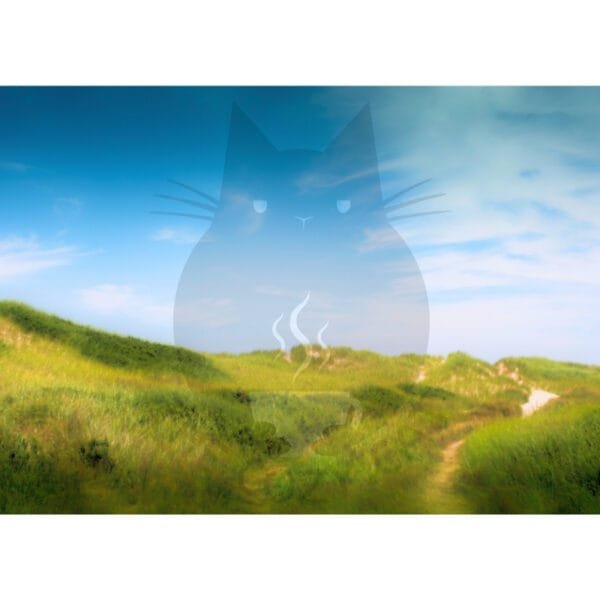 test product - Image 2