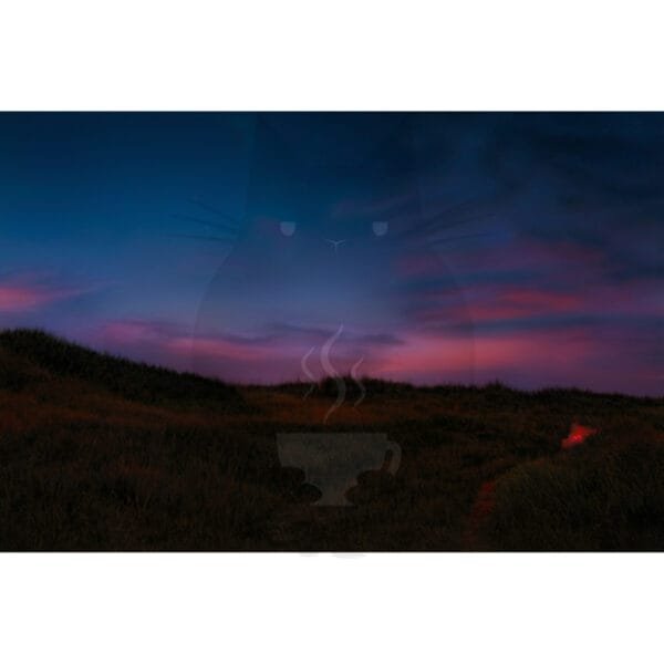test product - Image 6