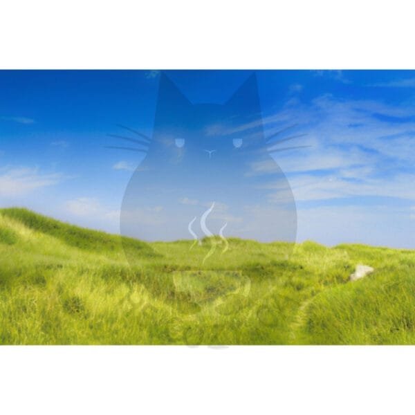 test product - Image 7