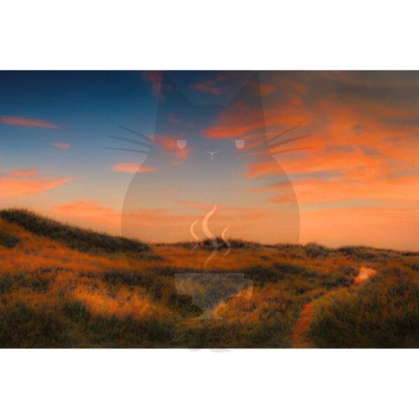 test product - Image 8