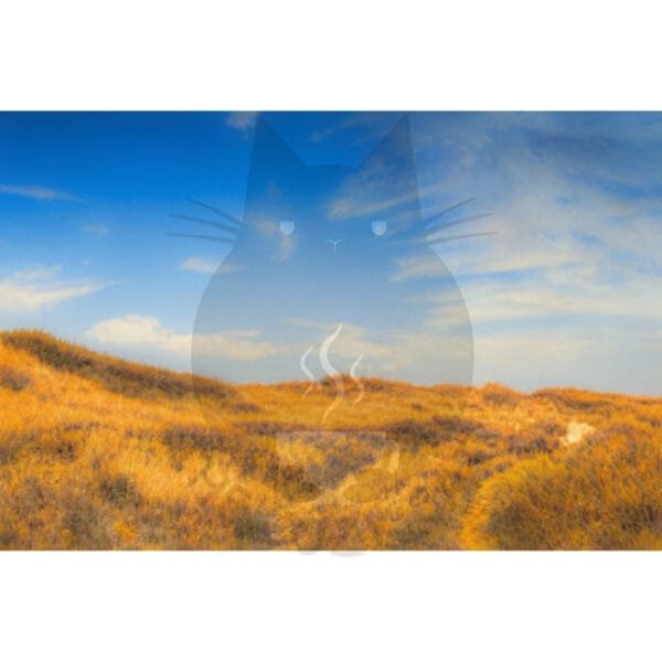 test product - Image 9